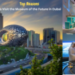 A list of Reasons to Visit the Museum of the Future in Dubai