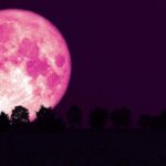 pink moon