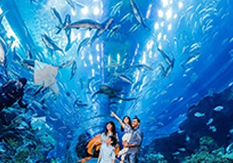 Dubai Aquarium