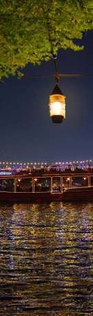 Dhow Cruise Side 1