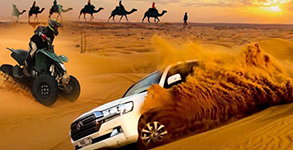 Desert Safari